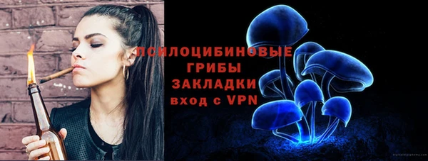 твердый Осинники