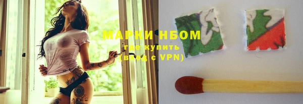 соль ск Няндома