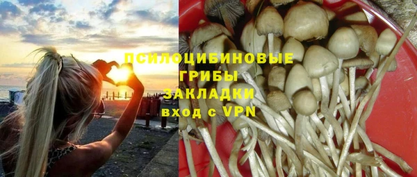 прущие грибы Остров