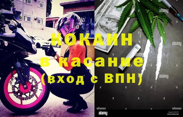 прущие грибы Остров
