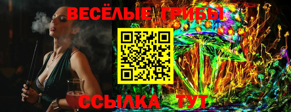 Псилоцибиновые грибы Cubensis  Вход с VPN  Анапа 