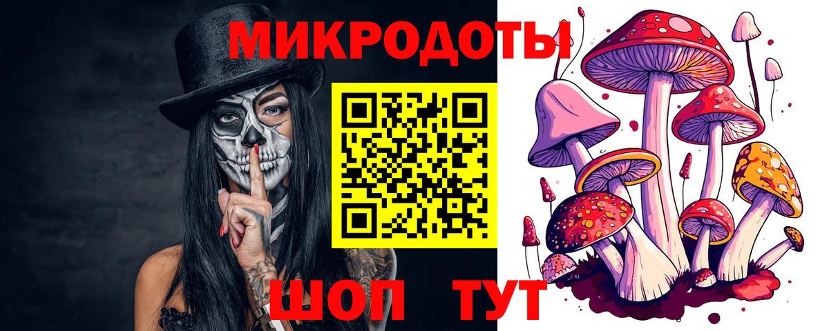 Анапа  Псилоцибиновые грибы Psilocybine cubensis  Вход с VPN 